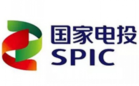 國家電投